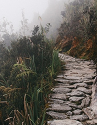 Steven Forrest Jones